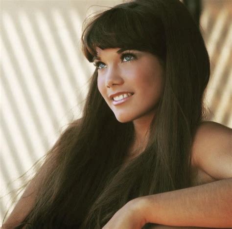 barbi benton playboy photos|1,279 Barbi Benton Images Stock Photos & High